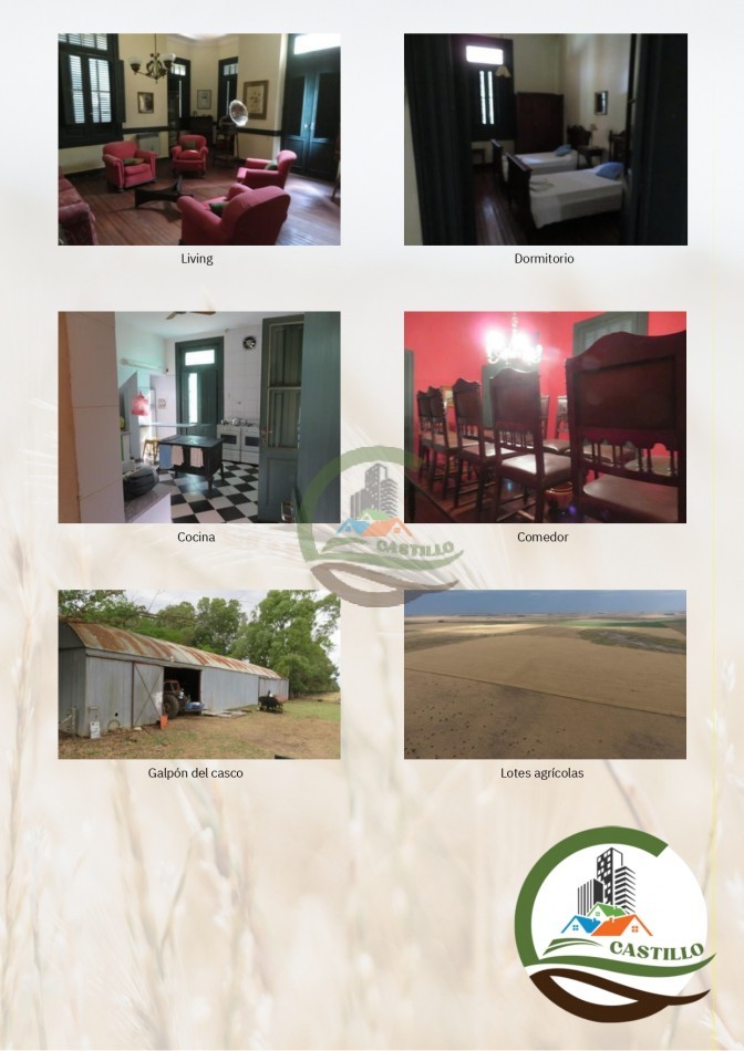 650 ha mixtas - san cayetano