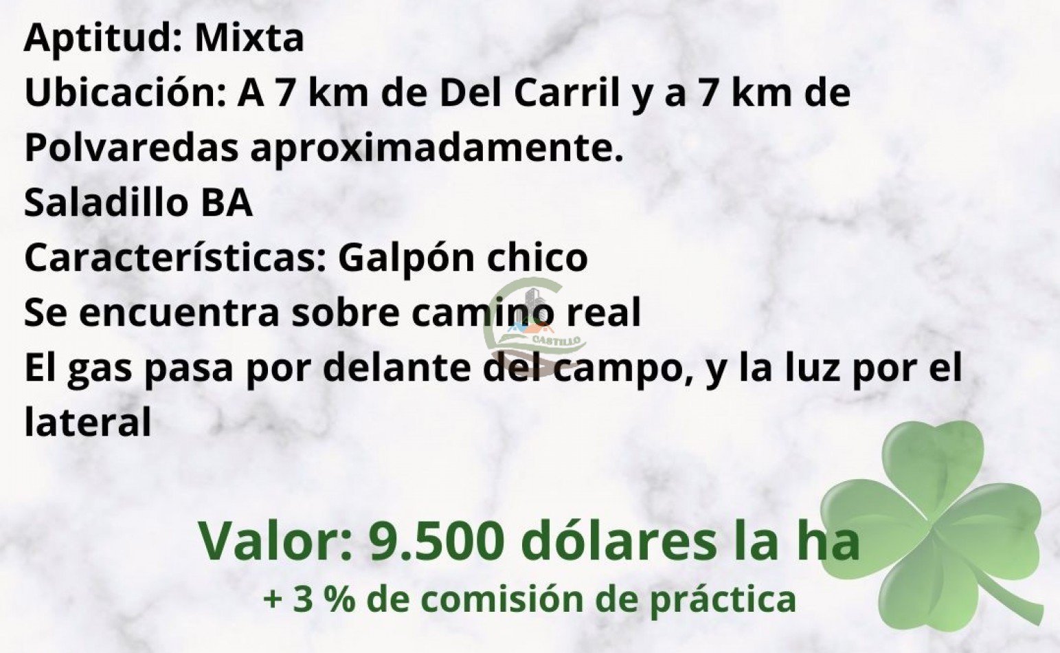 20 ha mixtas - saladillo
