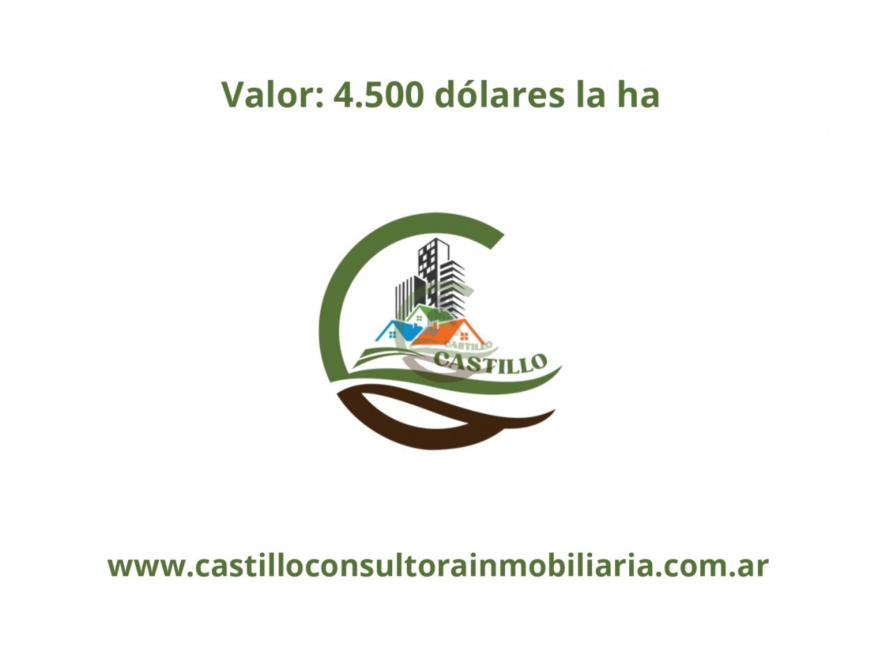 1025 ha mixta - saladillo