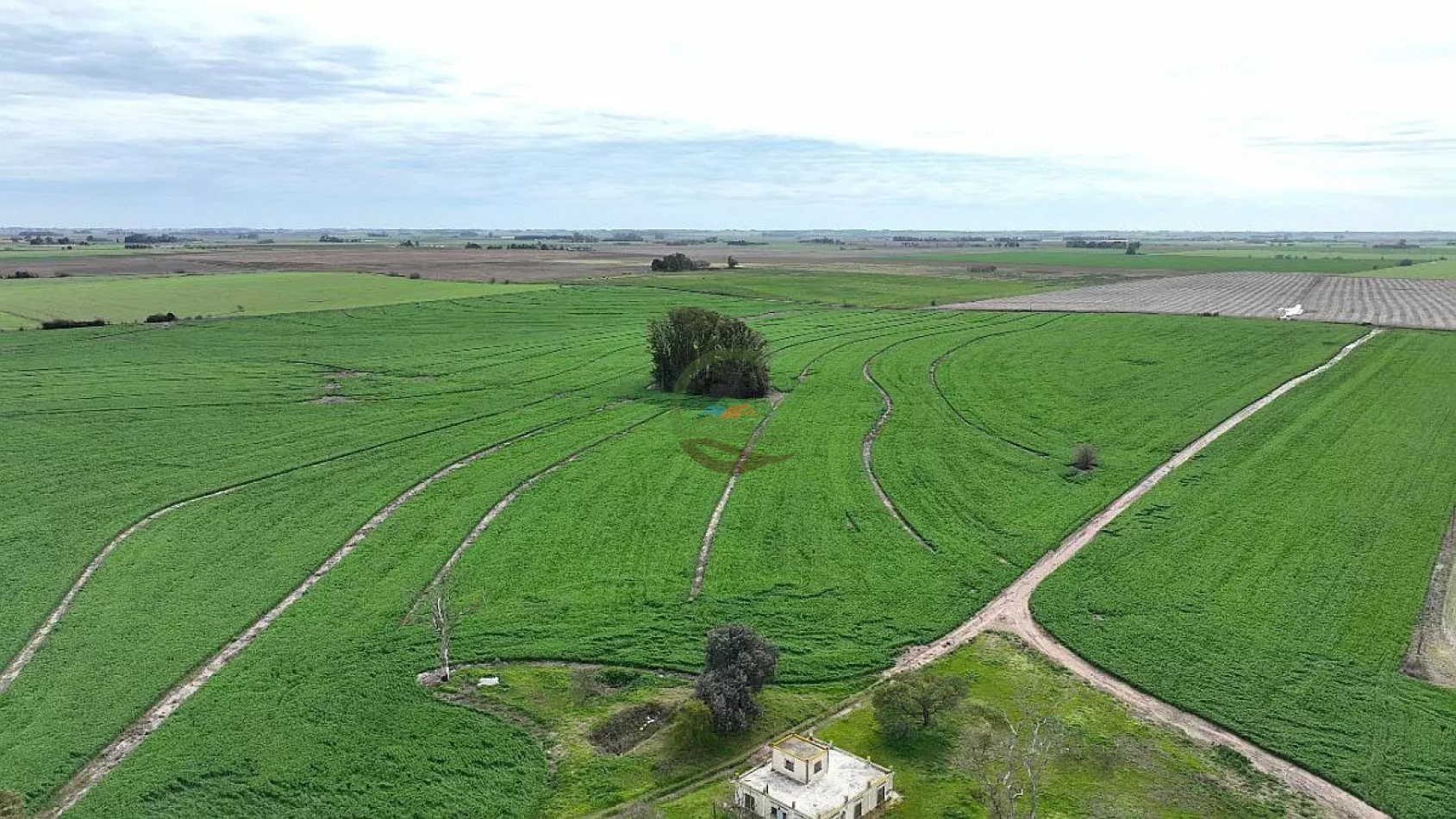 211 Ha Agricolas - Arrecifes