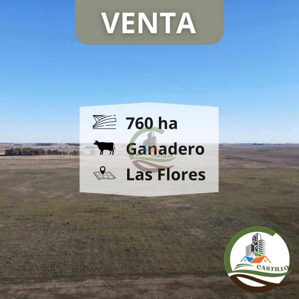 763 ha ganadero - las flores