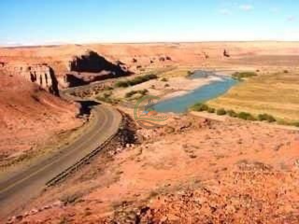 93000 ha Ganaderas - Pasos de los Indios - Chubut