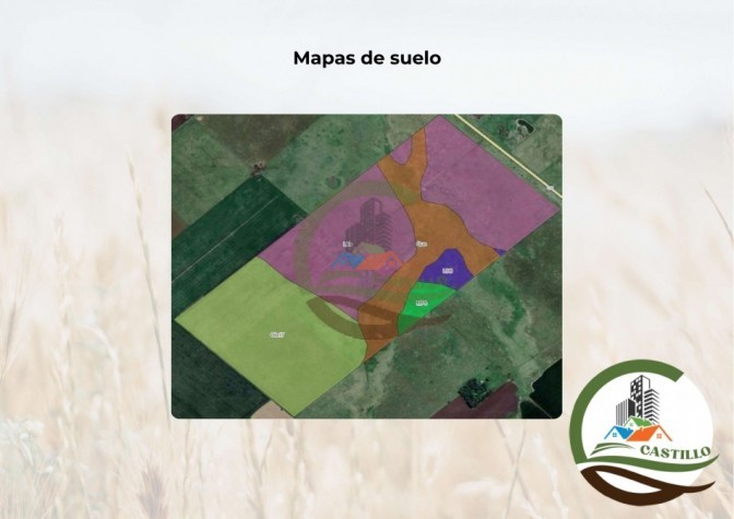 204 ha mixtas - olavarria