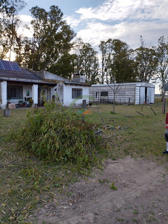 256 ha Mixto - Saladillo