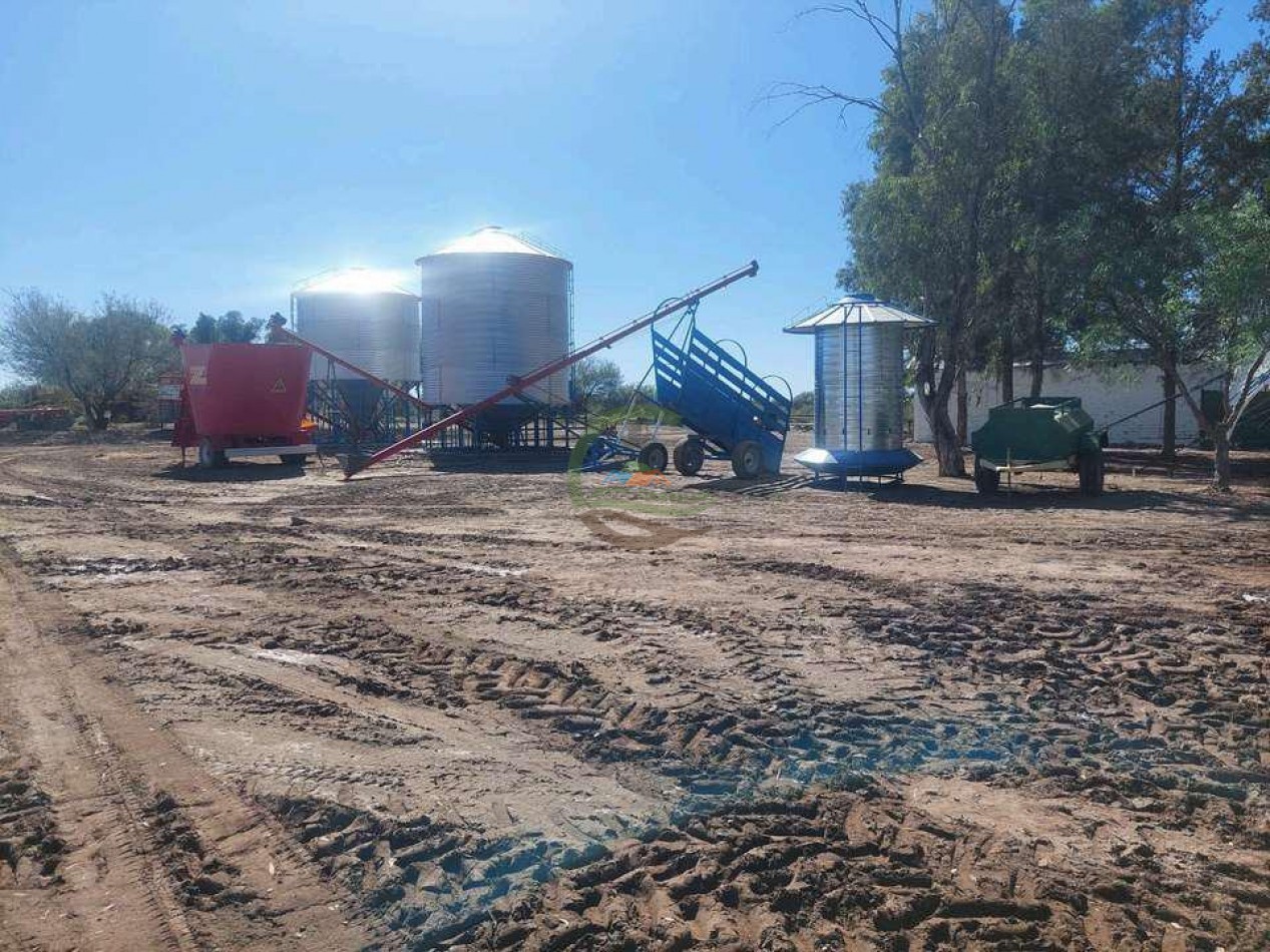 2417 Ha Ganadero (Feedlot) - Gral Alvear - Mendoza