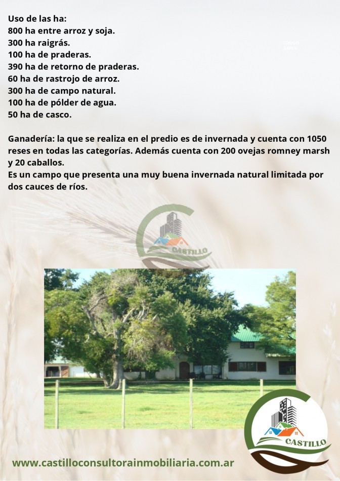2109 ha mixtas - uruguay
