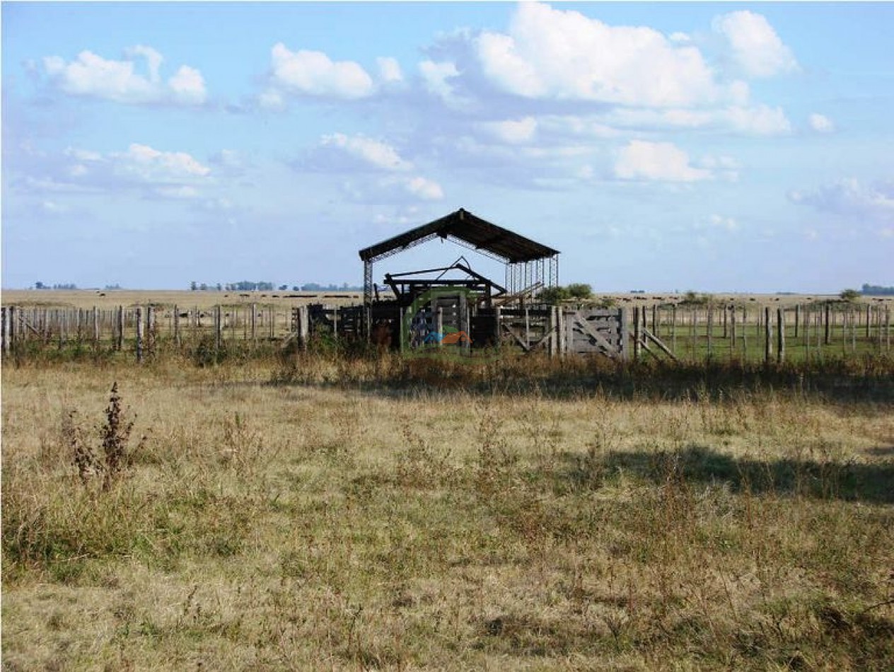 1320 Ha Ganadero - Dolores