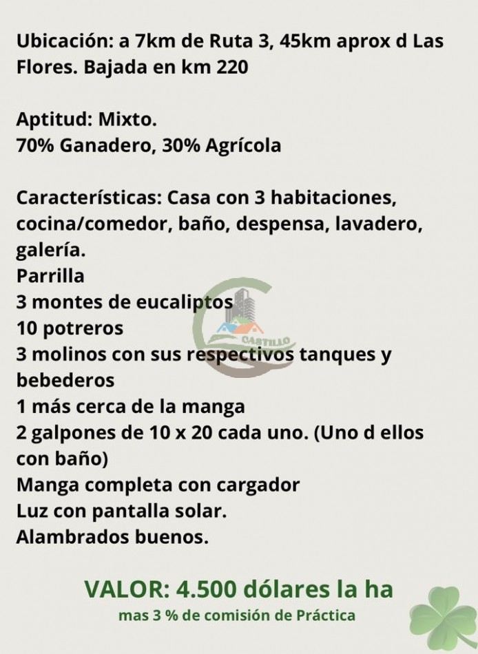 383 ha Mixtas - Las Flores