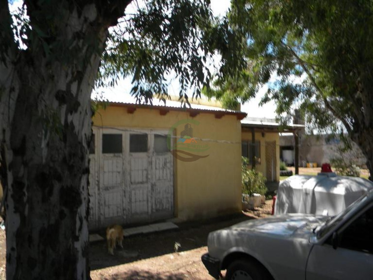 81 Ha Ganadero - Tambo - Guamini