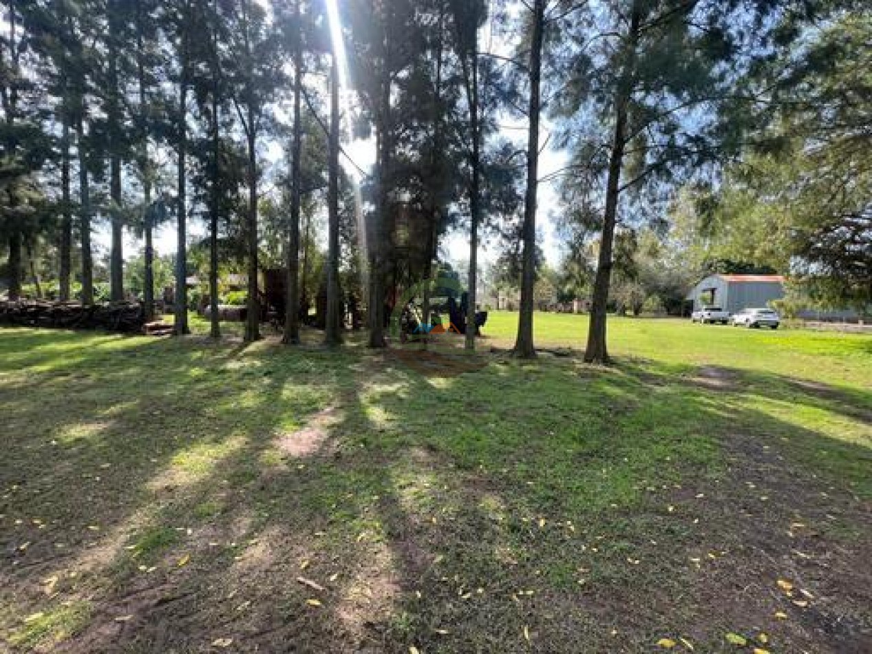 37,5 Ha Agricolas - Zarate
