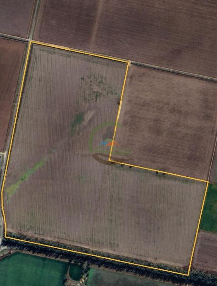 118 Ha Agricolas - Marcos Juarez 