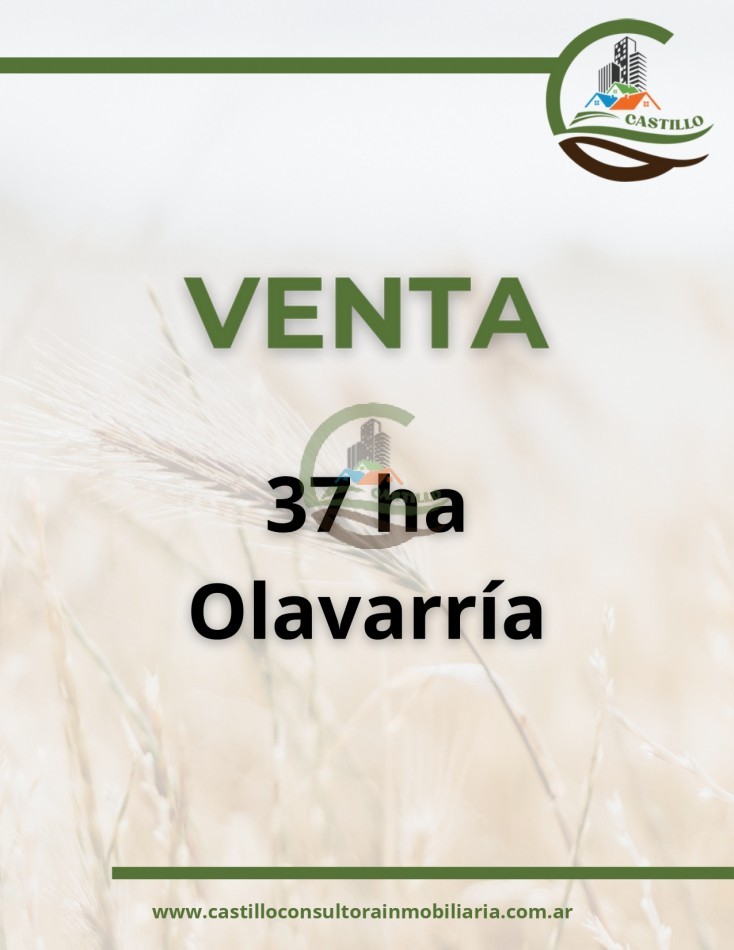 37 ha mixto - olavarria