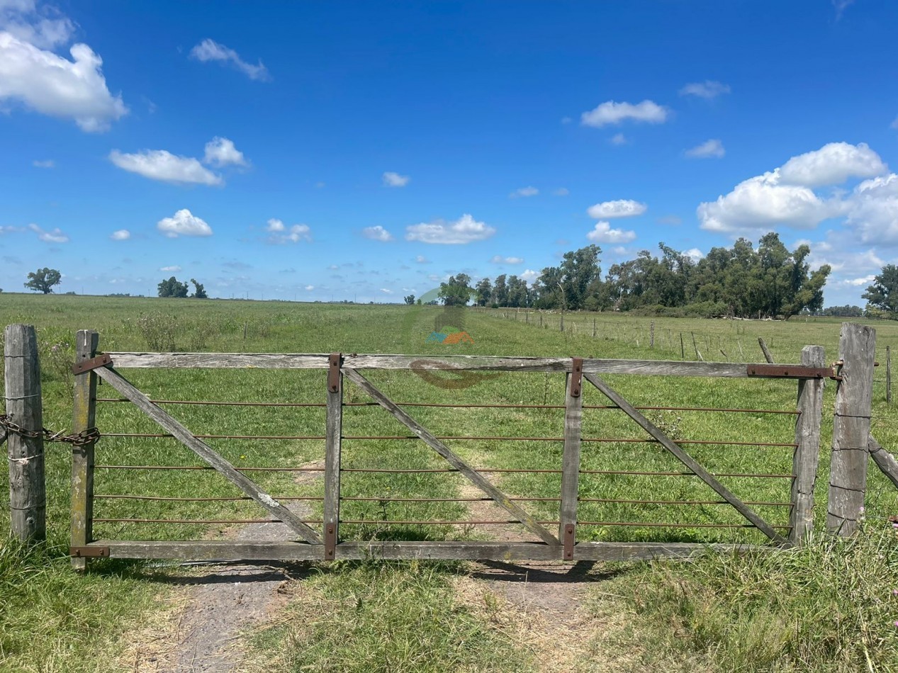 106 ha ganadero - gral alvear