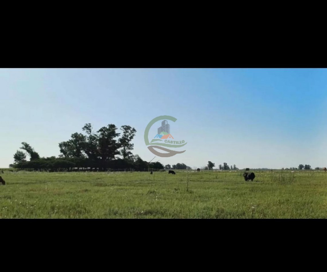 248 Ha Mixtas - Cañuelas