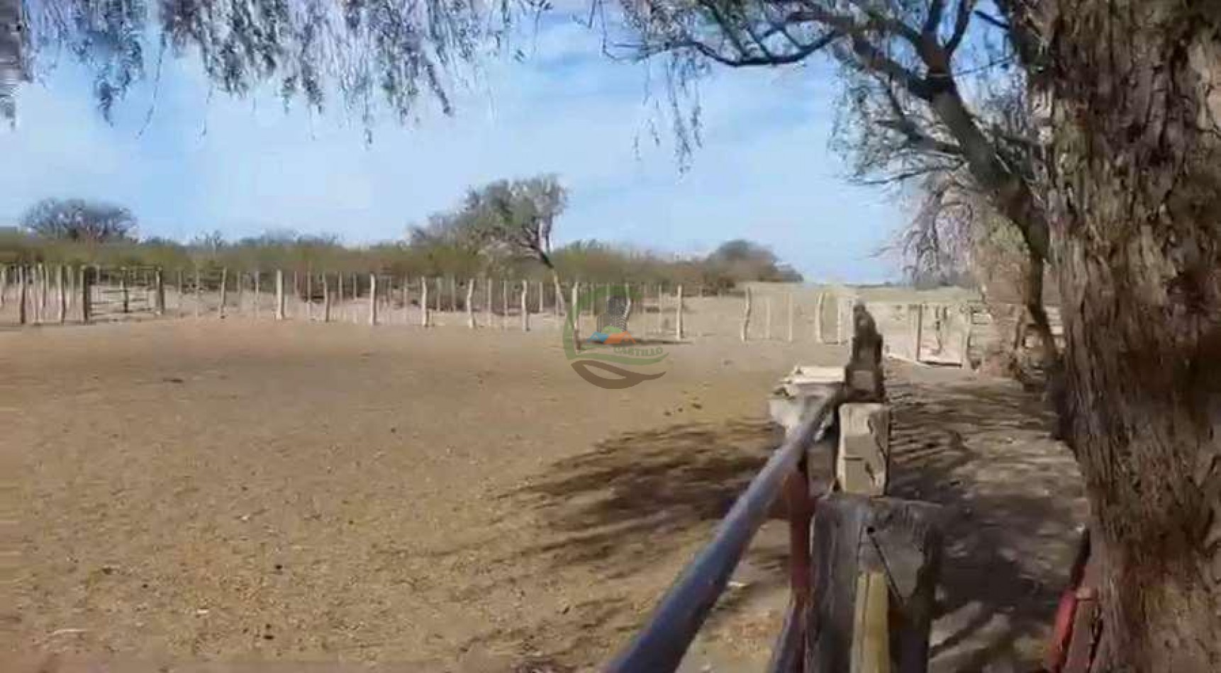2417 Ha Ganadero (Feedlot) - Gral Alvear - Mendoza