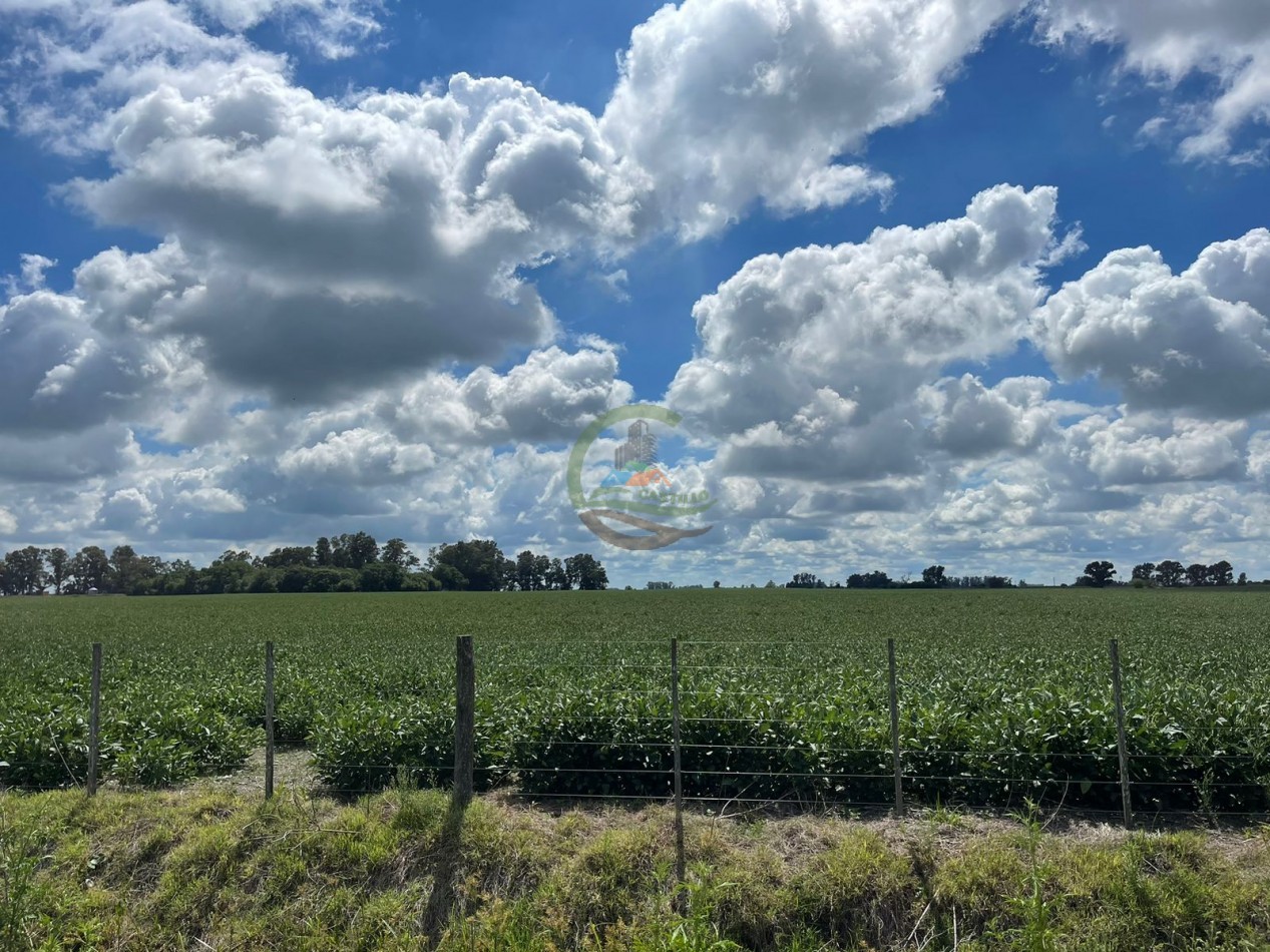 84 ha mixta - Bolivar