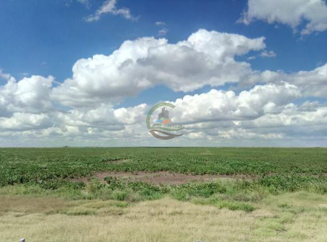 740 Ha Agricolas - Laboulaye - Cordoba