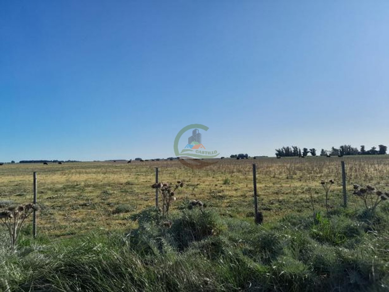 324 Ha Agricolas - San Cayetano