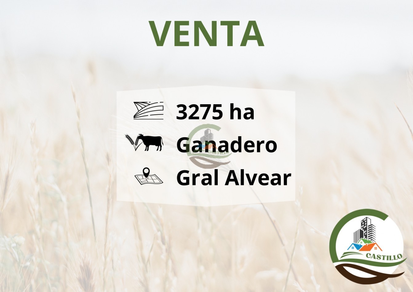 3275 ha ganaderas - general alvear