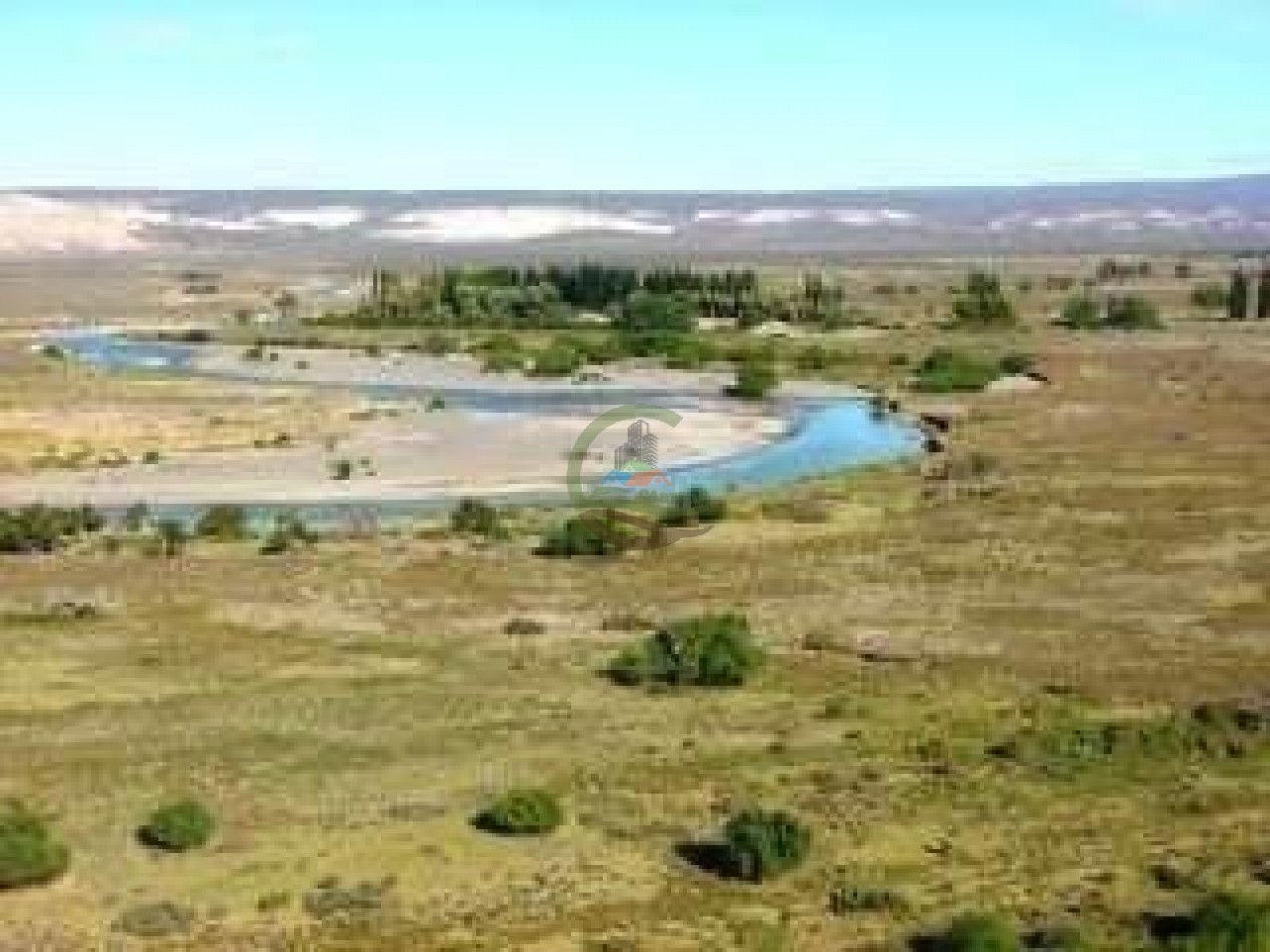 93000 ha Ganaderas - Pasos de los Indios - Chubut