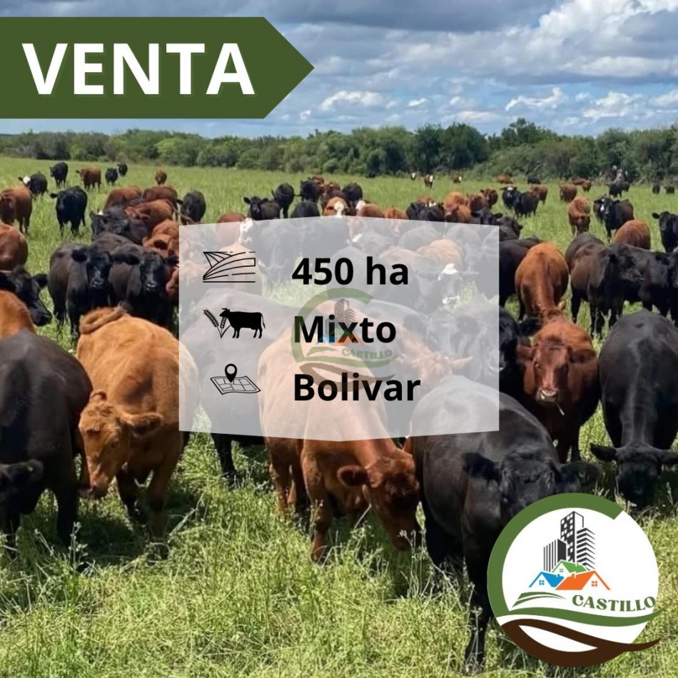 450 Ha Mixto - Bolivar