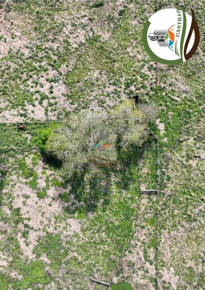 204 ha mixtas - olavarria