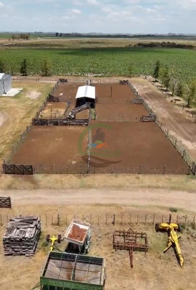 1135 Ha Mixto - Dorila - Mara Co - La Pampa