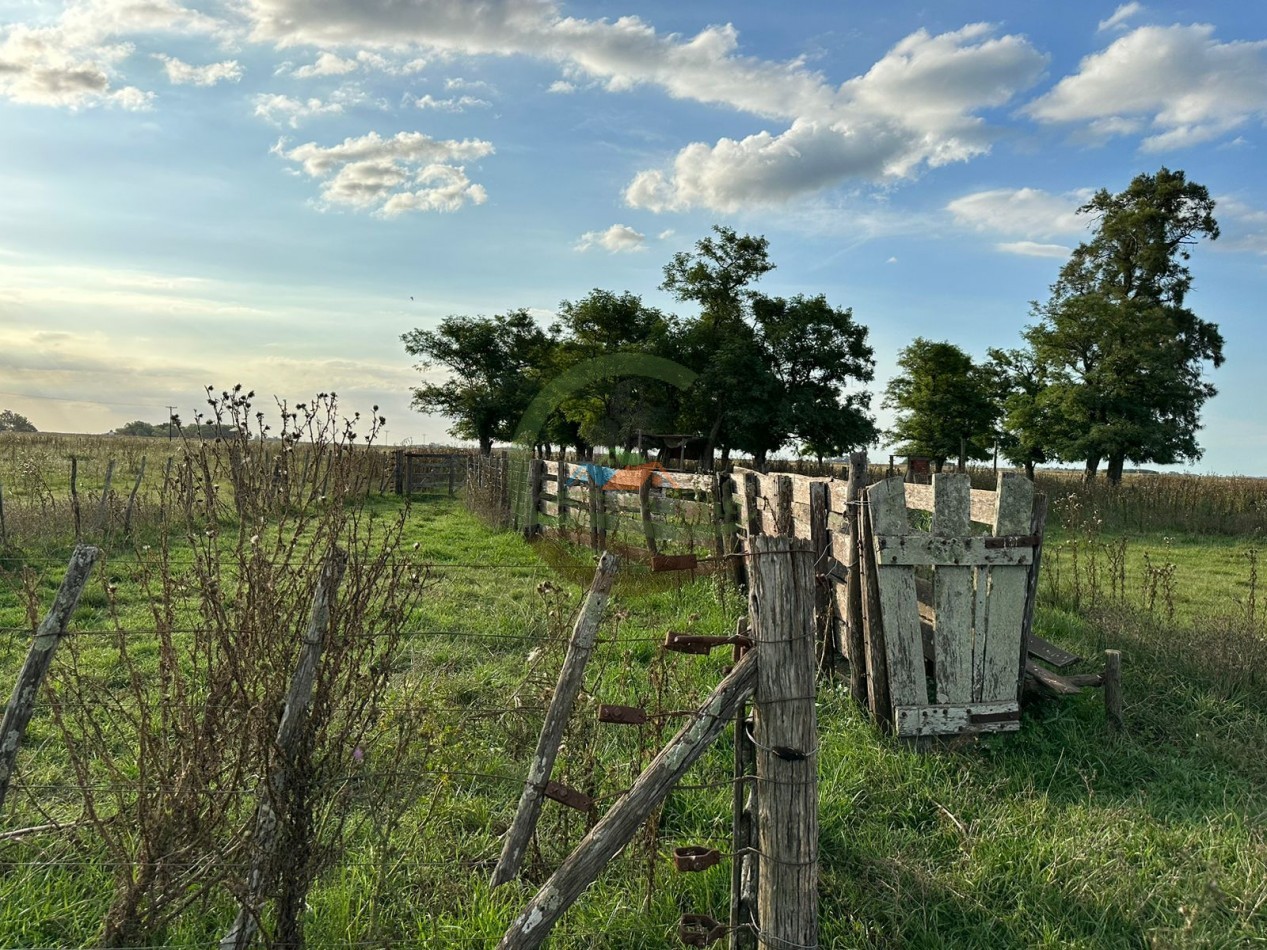 35,4 ha Mixtos - Ranchos