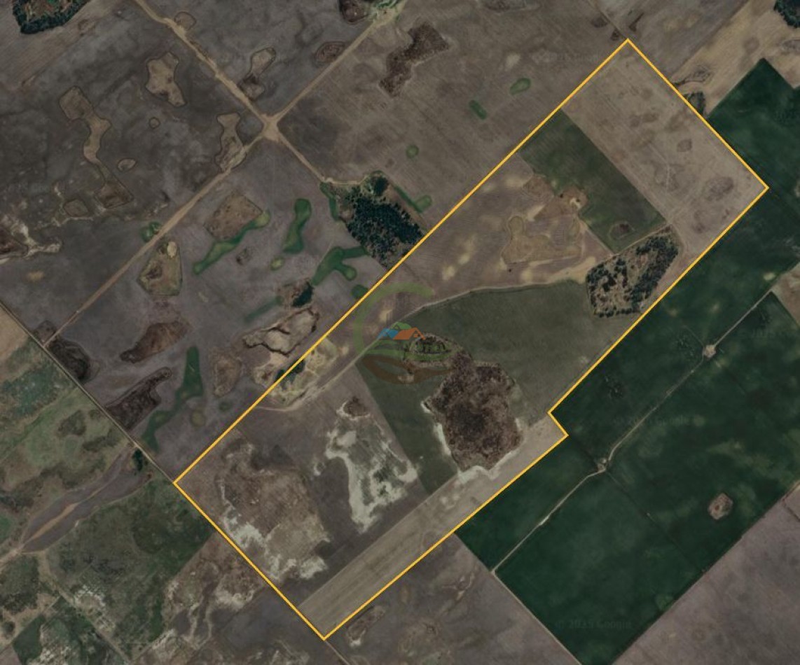381 Ha Mixto - Daireaux
