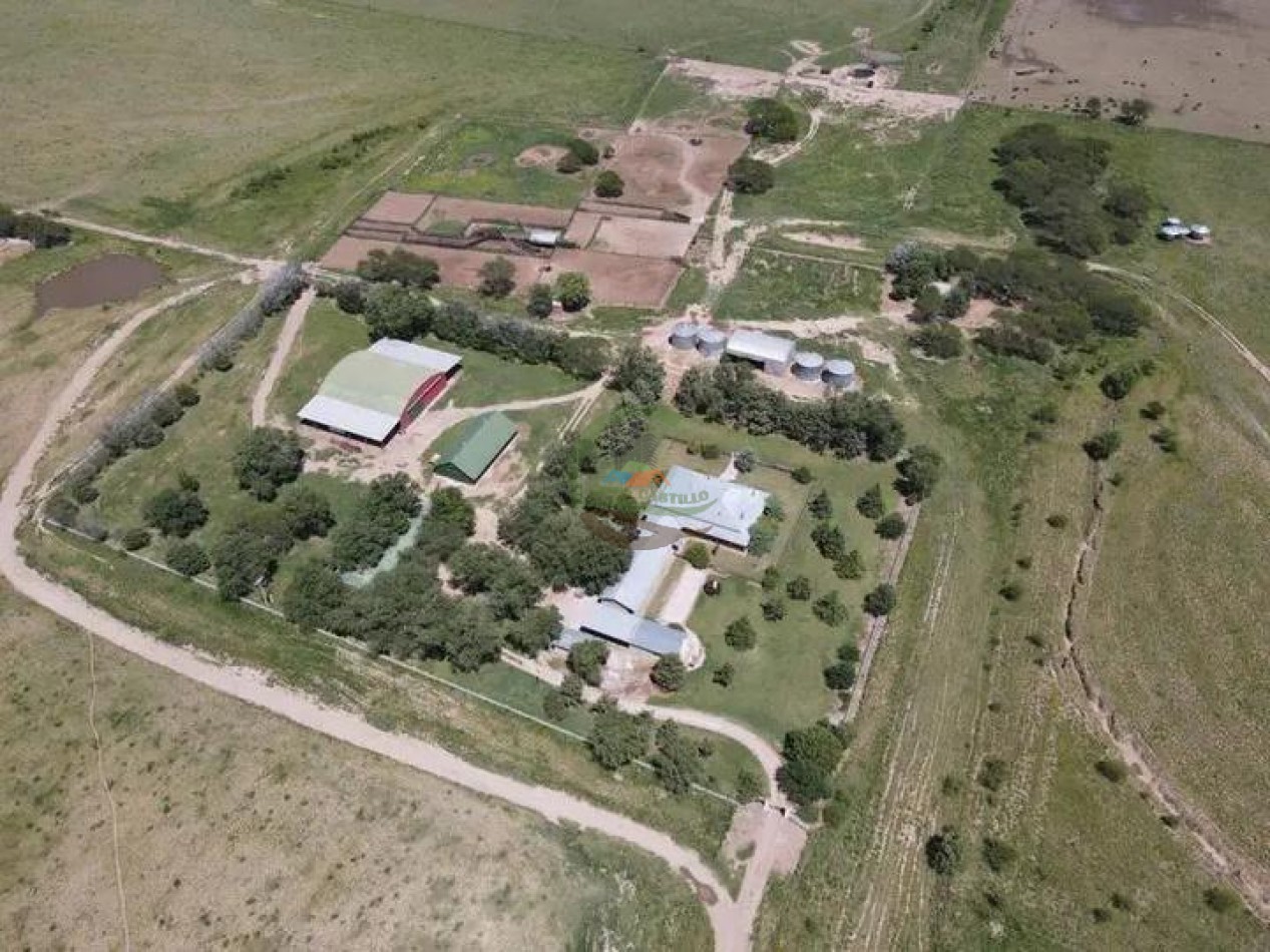 5000 Ha Ganadero - Conhelo - La Pampa