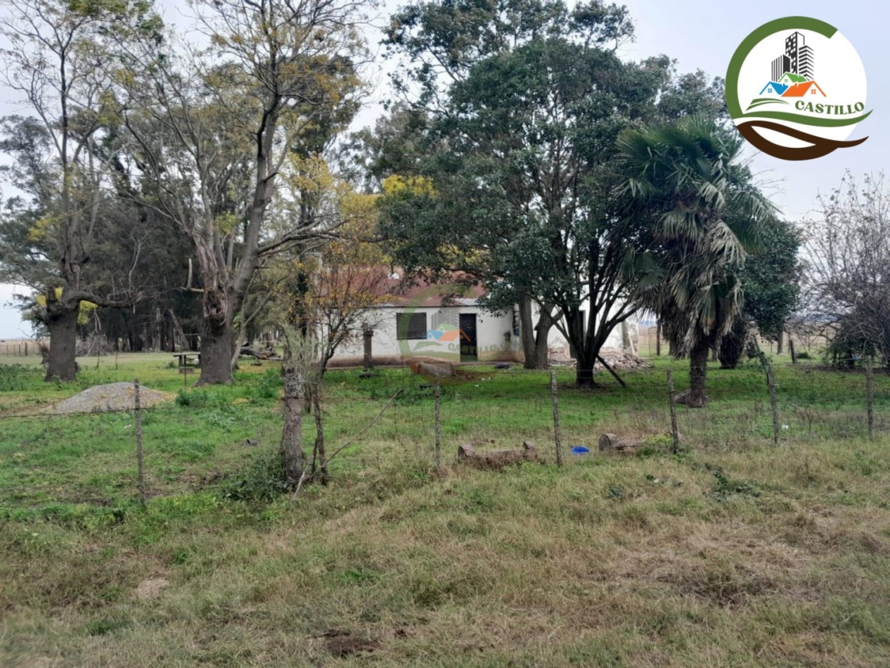 1025 ha mixta - saladillo