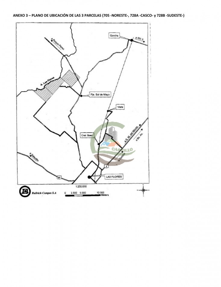 1184 ha Ganadero - Las Flores
