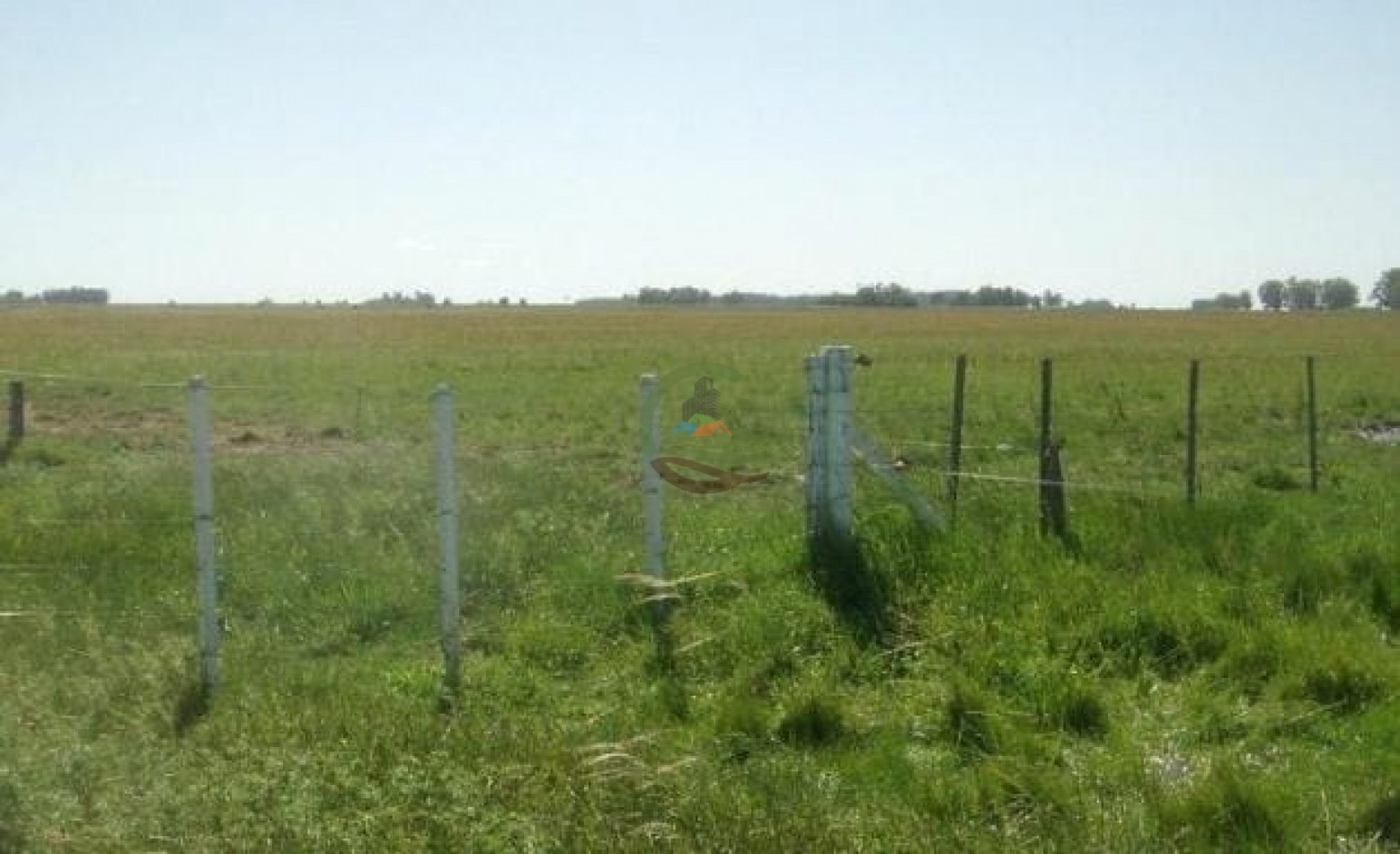 900 ha Ganadera - Tapalque 