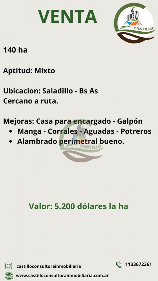 140 ha Mixto - Saladillo