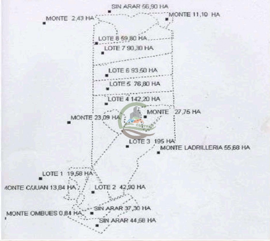 4168 Ha Mixto - San Luis del Palmar - Corrientes