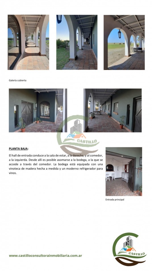 294 ha ganadero - bahia san blas