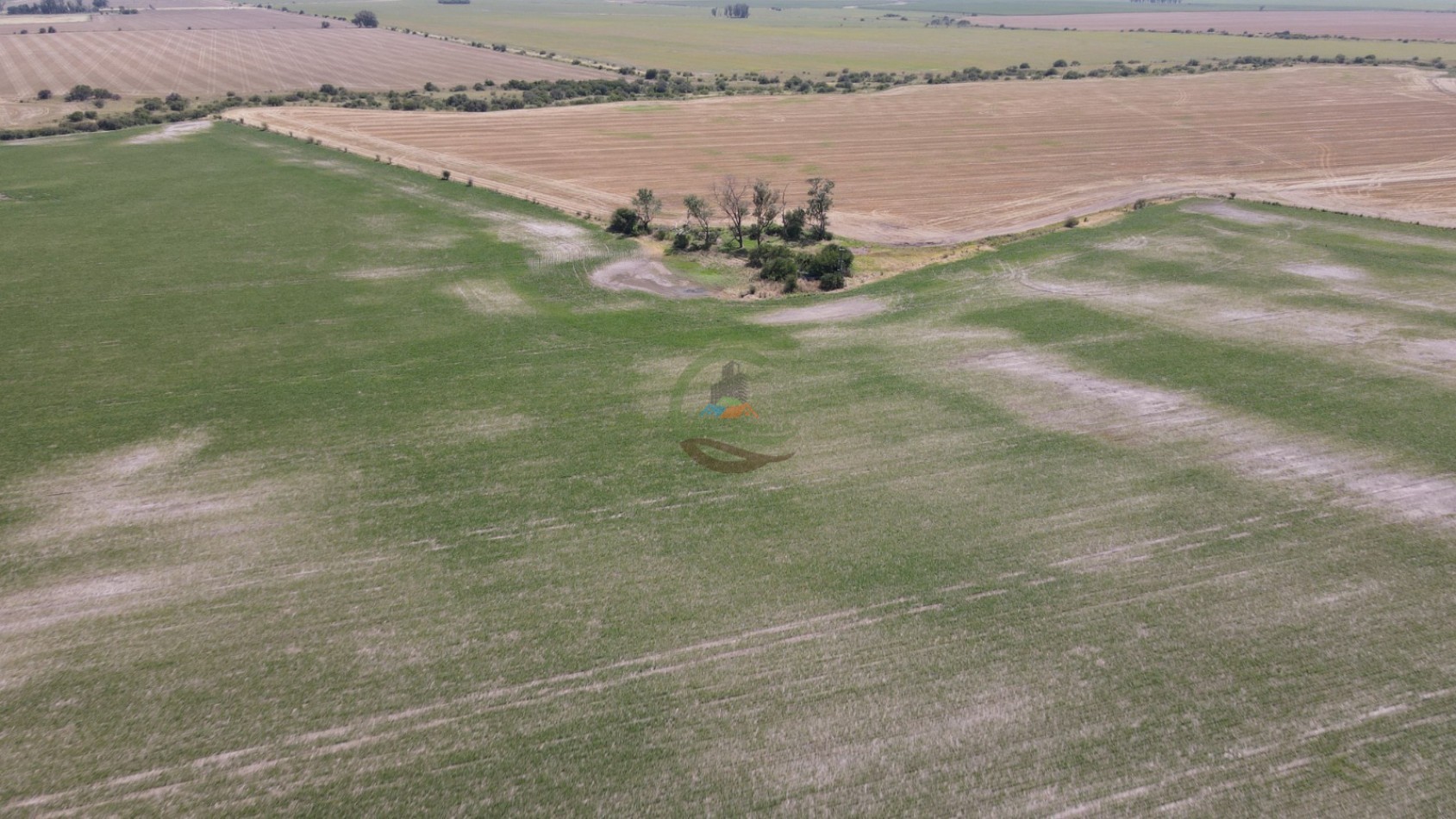 161 Ha Agricolas - Irazusta - Entre Rios