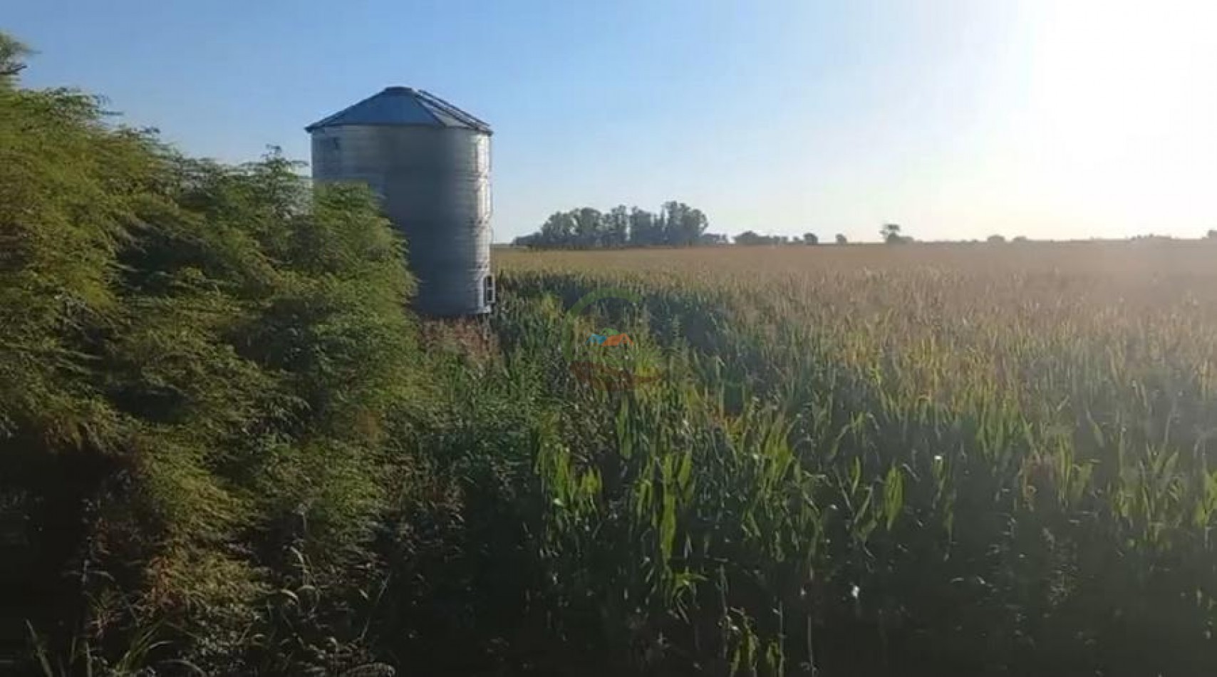 120 Ha Mixto - Urdampilleta - Bolivar