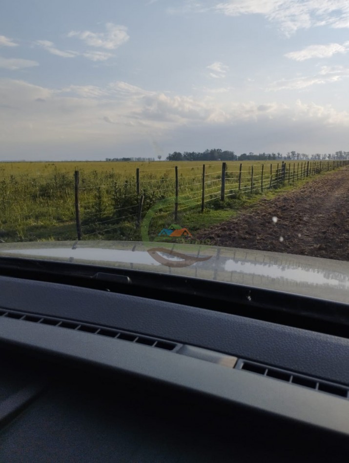 256 ha Mixto - Saladillo