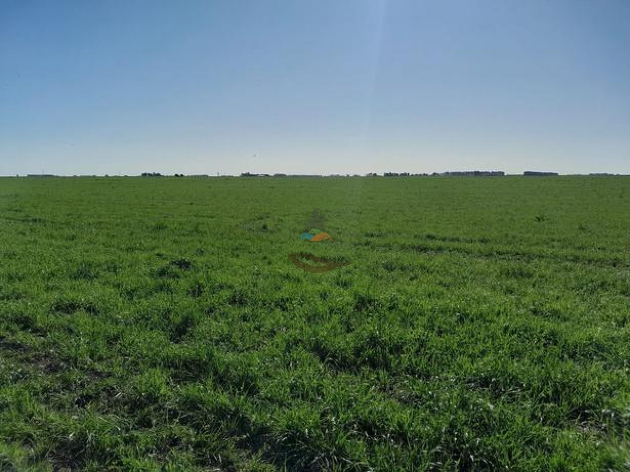 324 Ha Agricolas - San Cayetano