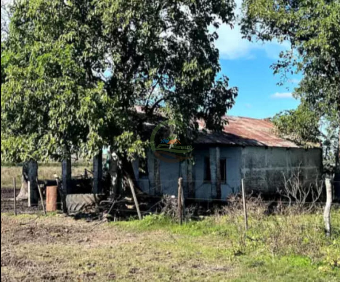 550 Ha Mixto - Concordia - Entre Rios