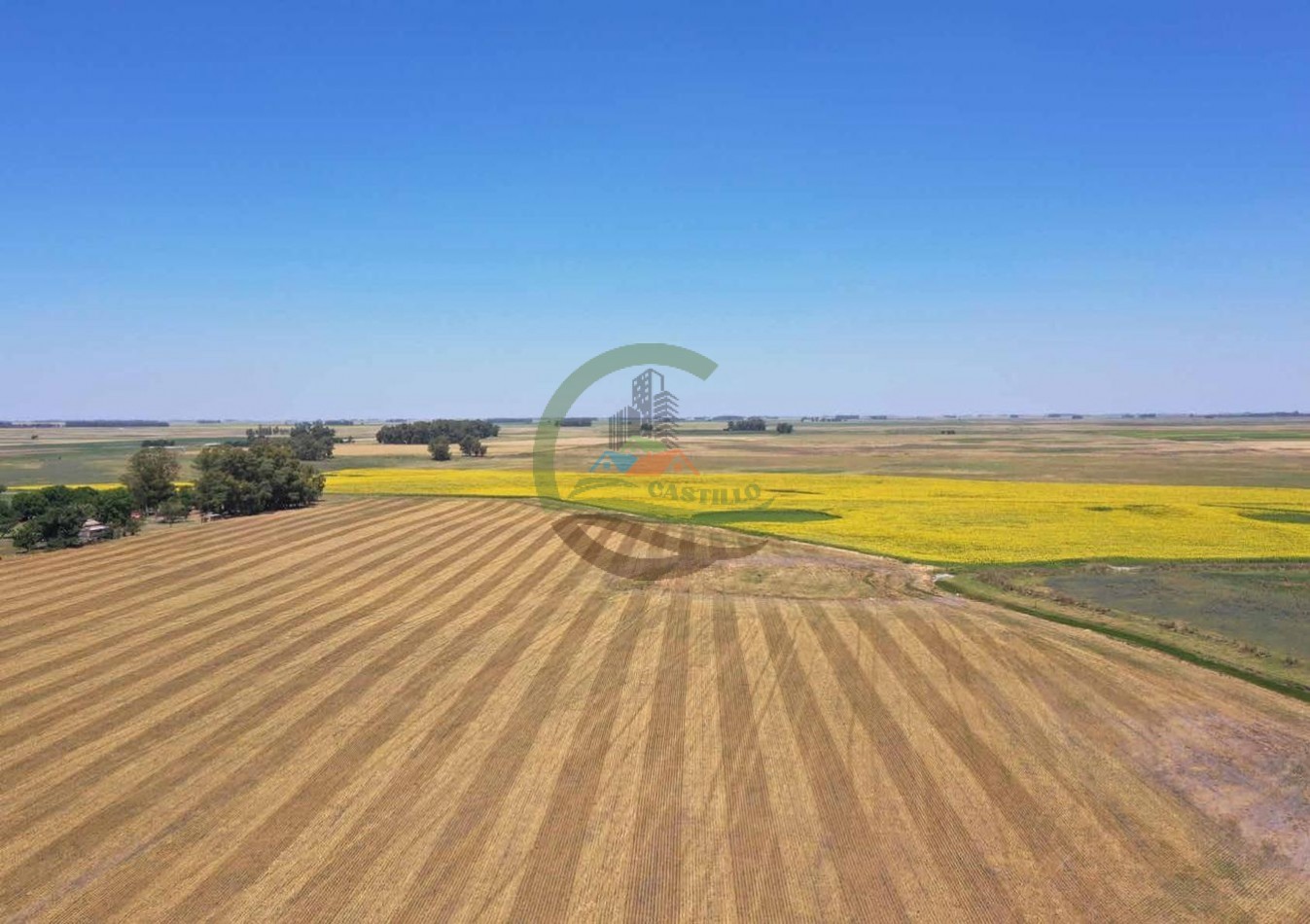 433 ha mixto - Bolivar 