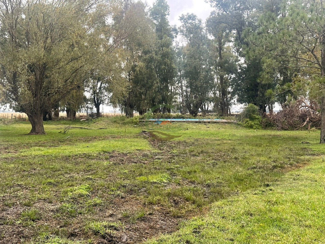 47 ha Ganadera - Olavarria