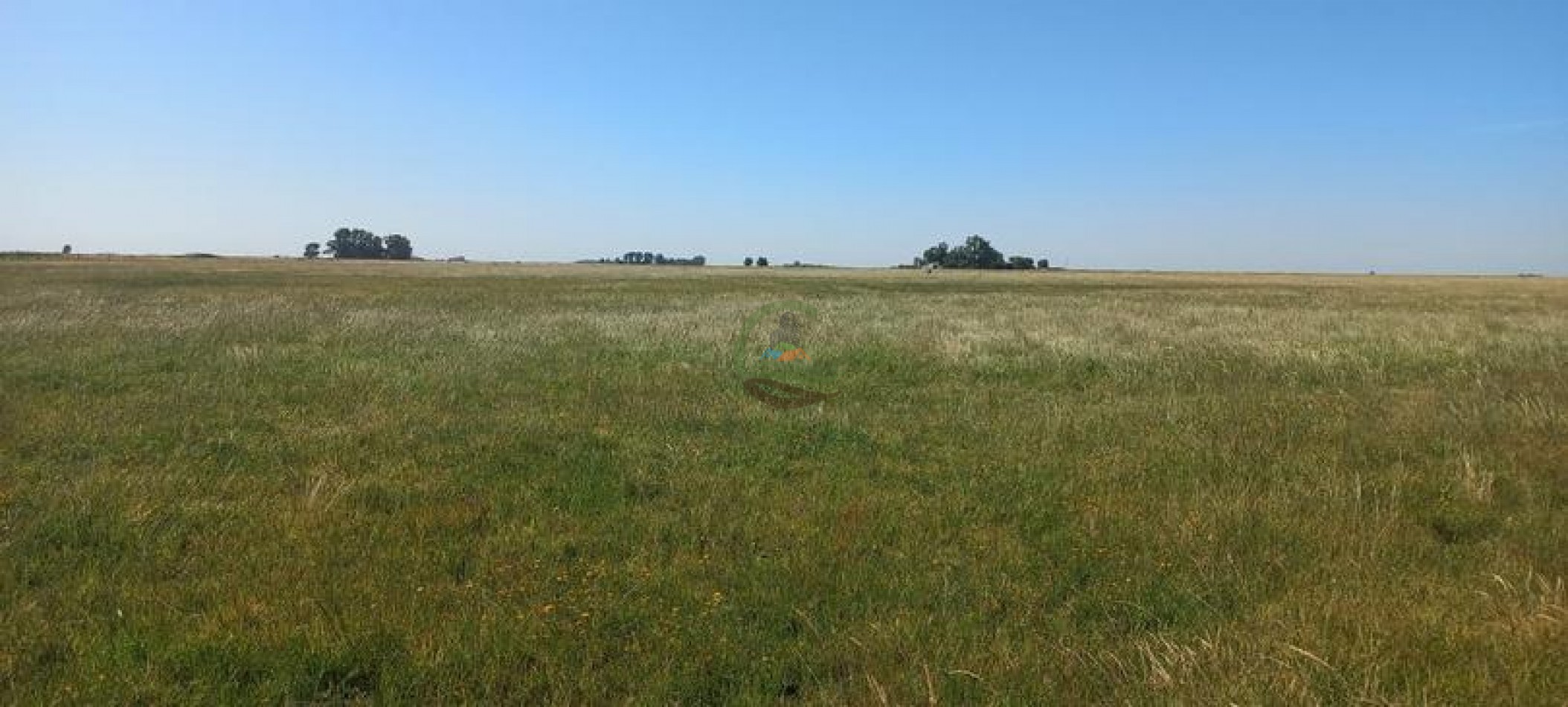 120 Ha Ganadero - Santa Isabel - Gral Alvear