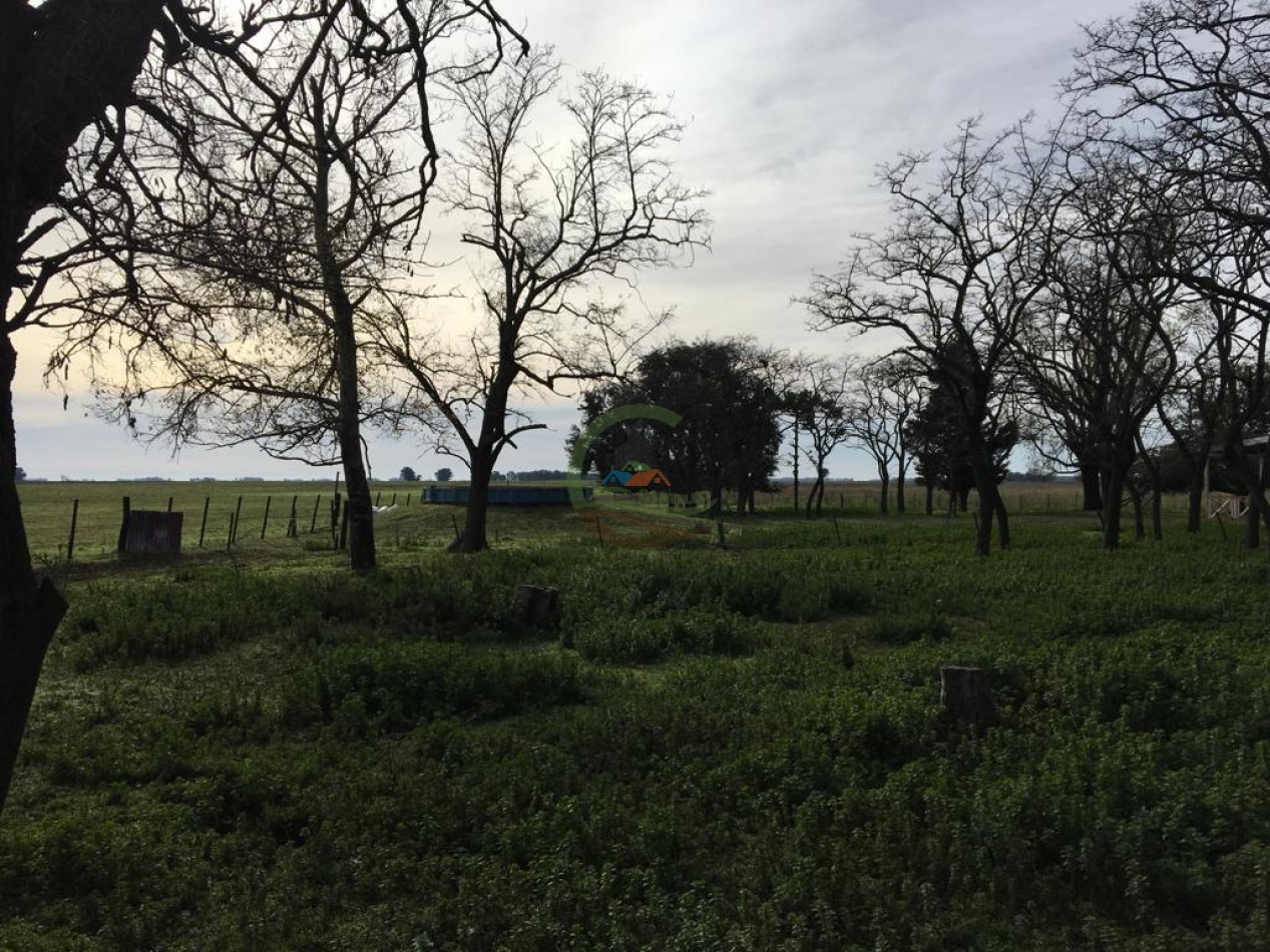 380 ha Mixtas - Bolivar