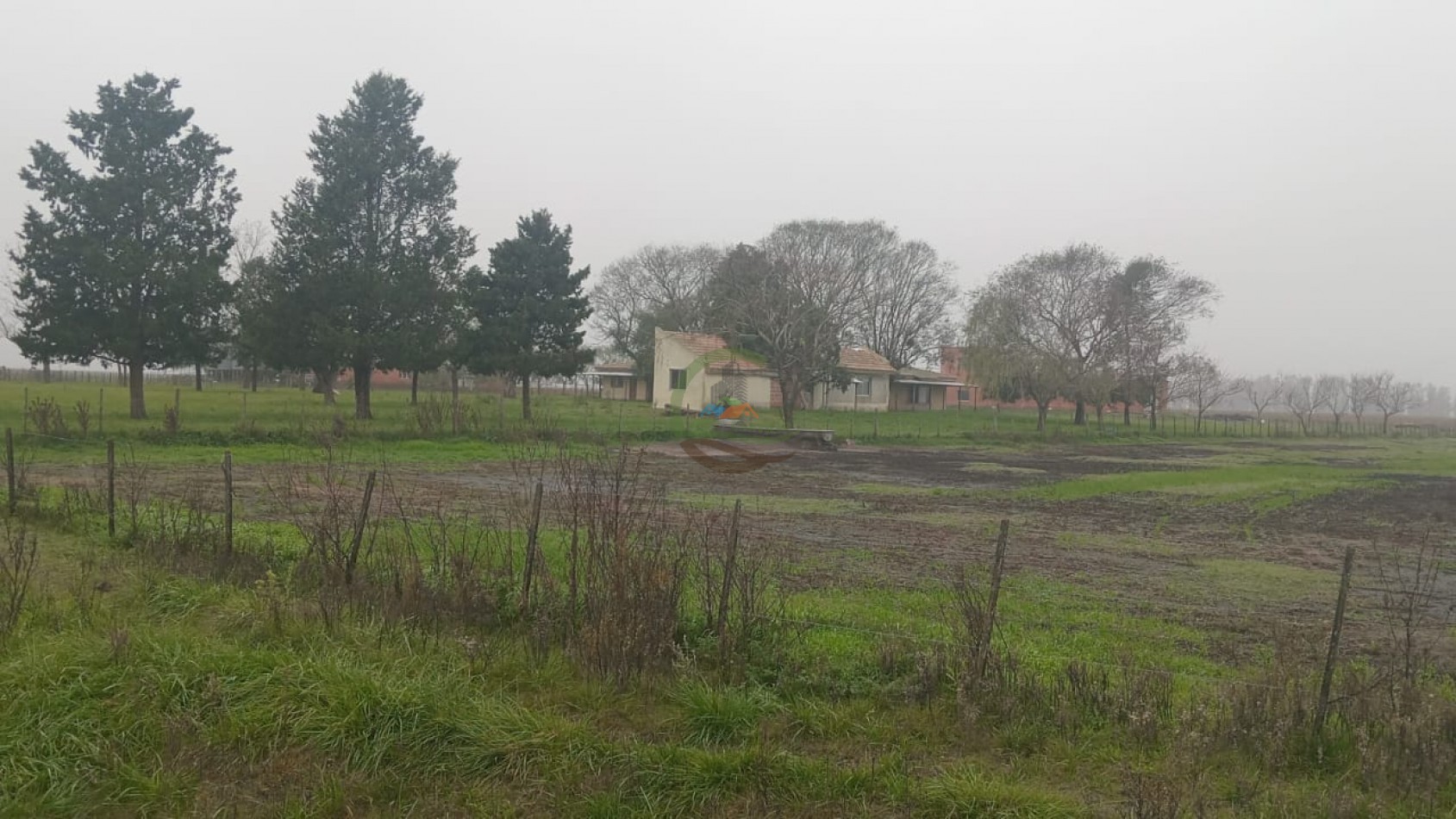 488 ha Mixto - Saladillo