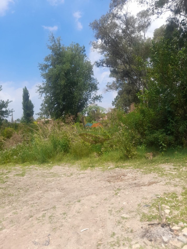 4 ha Desarrollo - Tigre