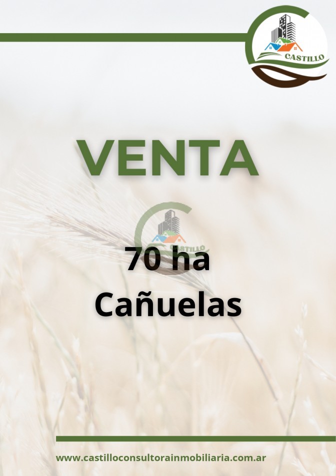 70 ha agricolas - cañuelas
