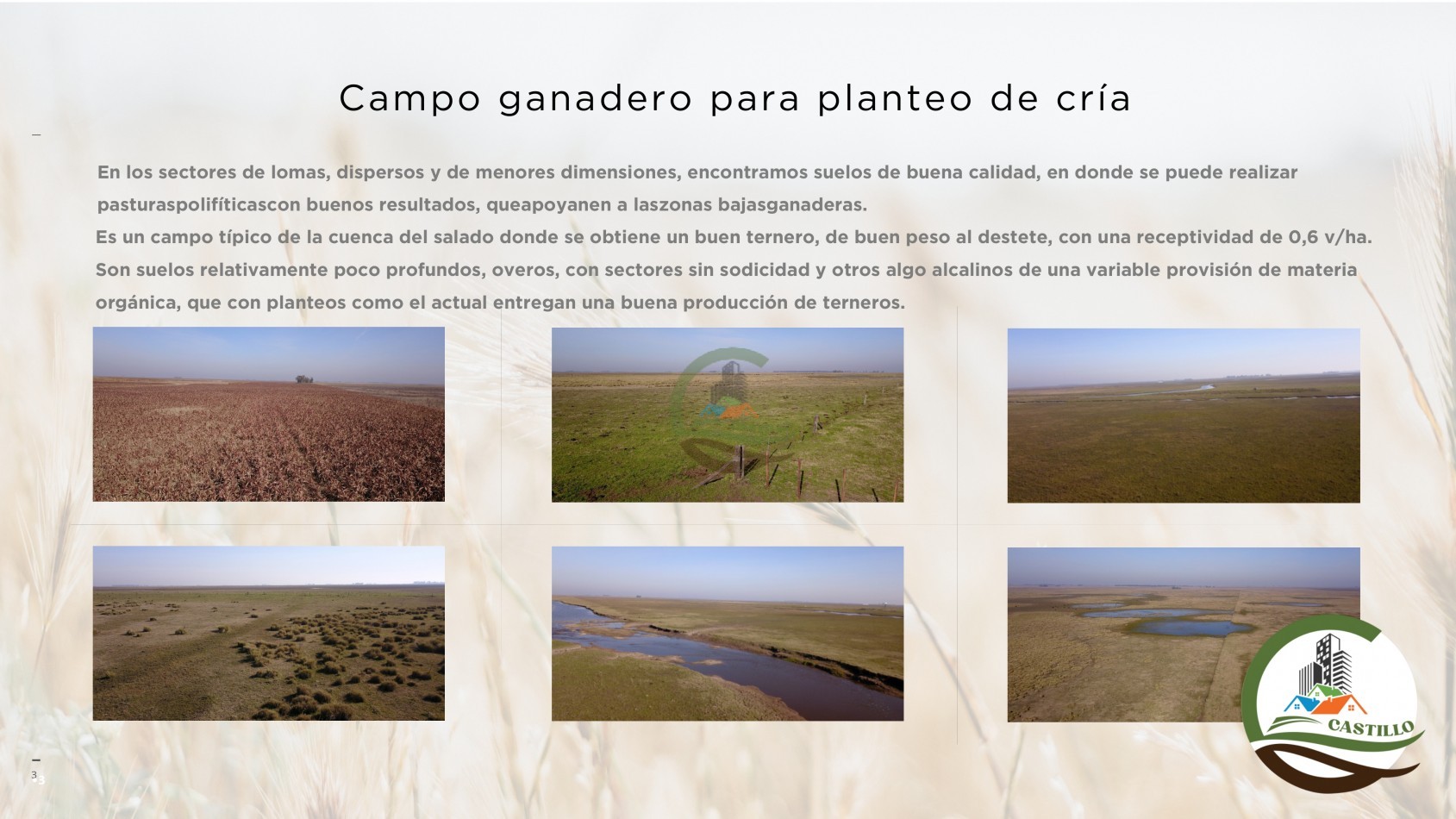 3485 ha Ganadero - Tapalque