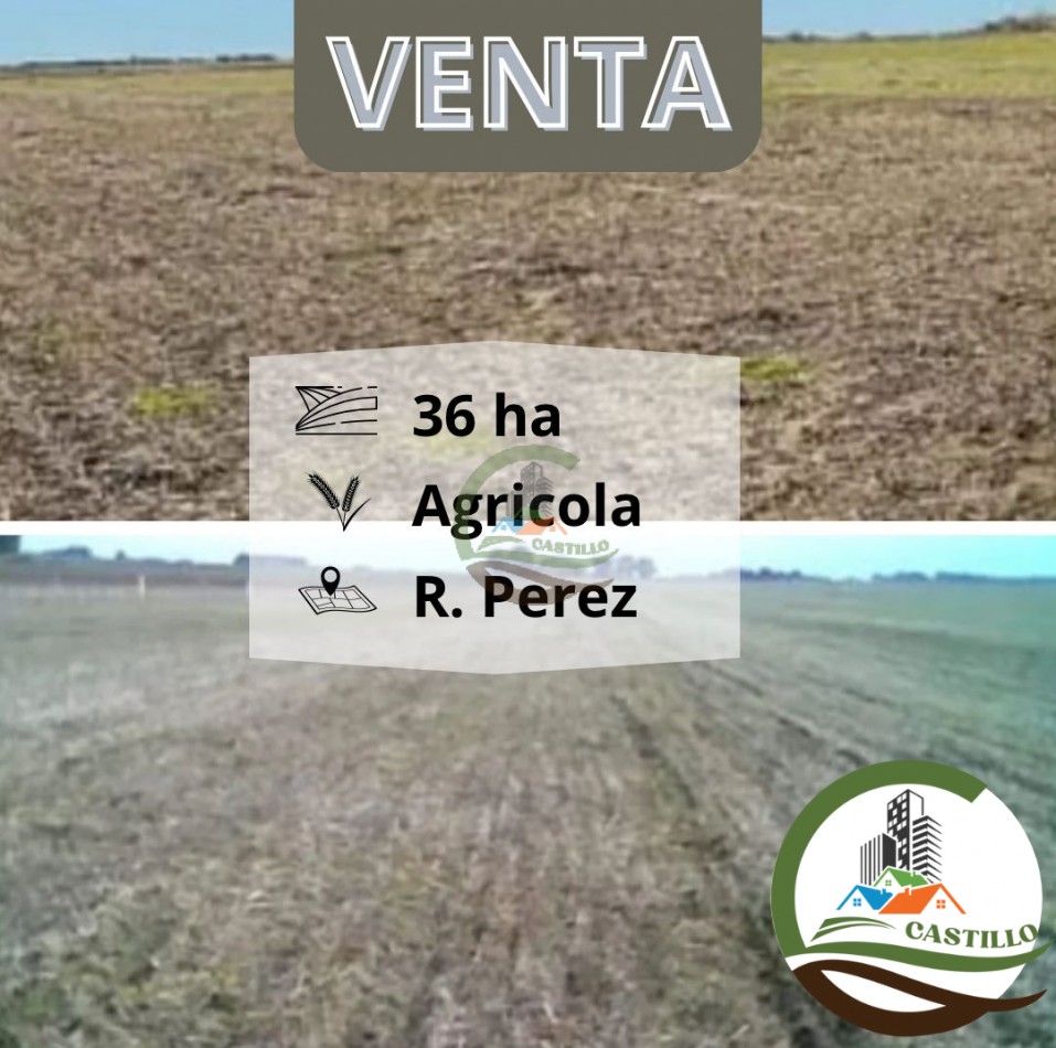 36 ha agricolas - roque perez 